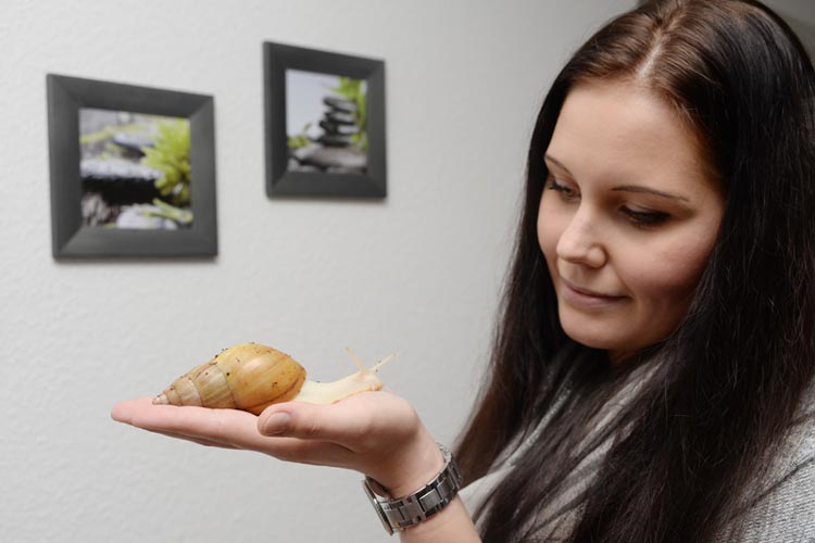Die Oldenburgerin Gina Kuhr züchtet Afrikanische Riesenschnecken.