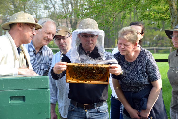 Die Hobbyimker des Imkervereins Oldenburg begeistern sich für Bienen.