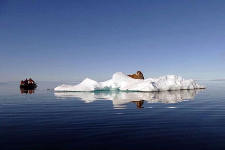 Der Journalist und Pressefotograf Albert Rohloff aus Rastede hat im vergangenen Jahr Svalbard umfahren und jede Menge sehenswerter Bilder und Filme mitgebracht.