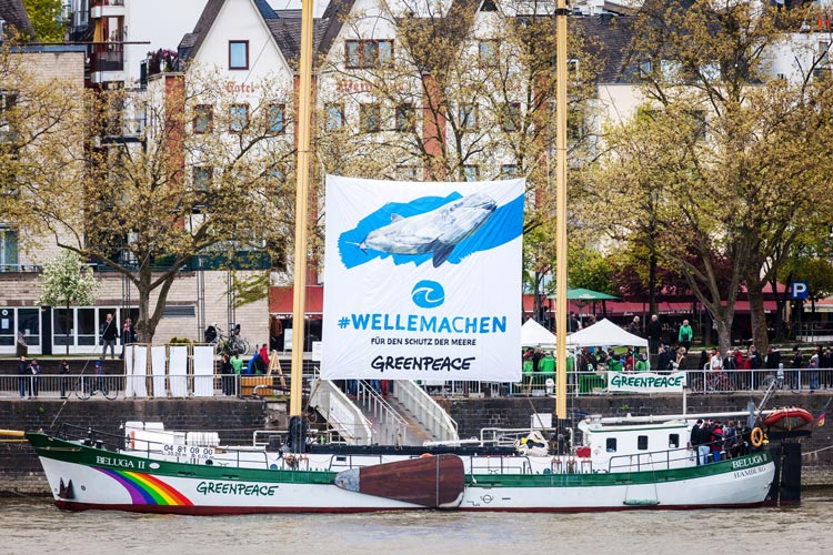 Im Rahmen der Kampagne Welle machen für den Schutz der Meere legt das Greenpeace-Schiff Beluga II in Oldenburgs Stadthafen an.