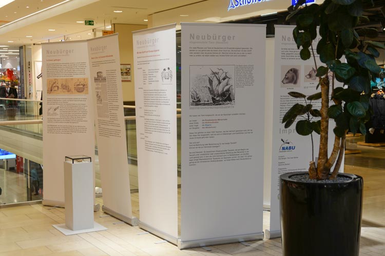 Neubürger heißt eine Ausstellung des NABU über einst exotische Tiere, die in den Oldenburger Schlosshöfen zu sehen ist.