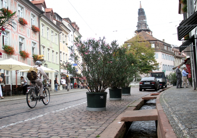 Freiburg, über dts Nachrichtenagentur