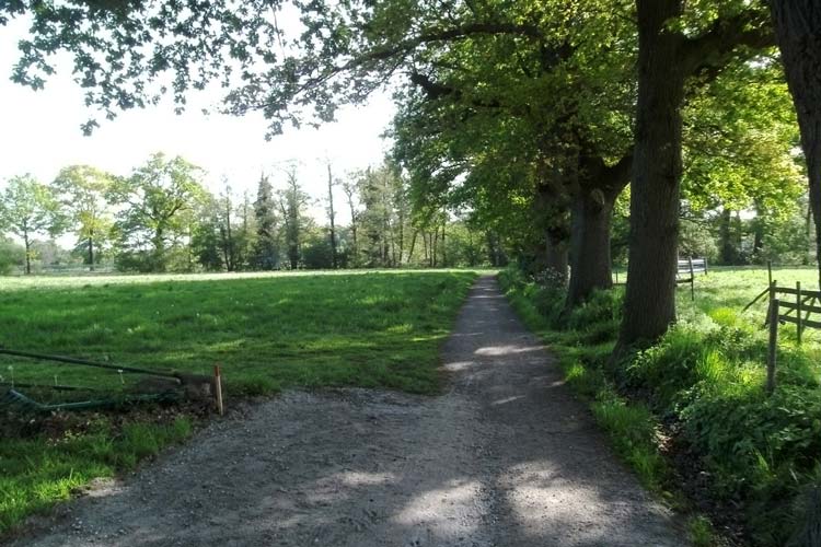 Der See-Rundwanderweg wird auf diesem Teilstück verbreitert werden.