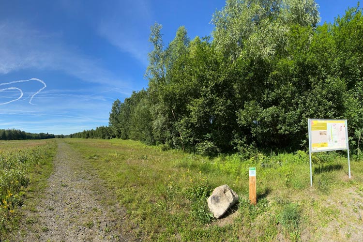 Das Bahndammgelände Krusenbusch ist ein besonderes Naturschutzgebiet. Ein virtueller Lehrpfad bietet jetzt Informationen für Interessierte.