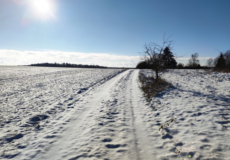 Schnee, über dts Nachrichtenagentur