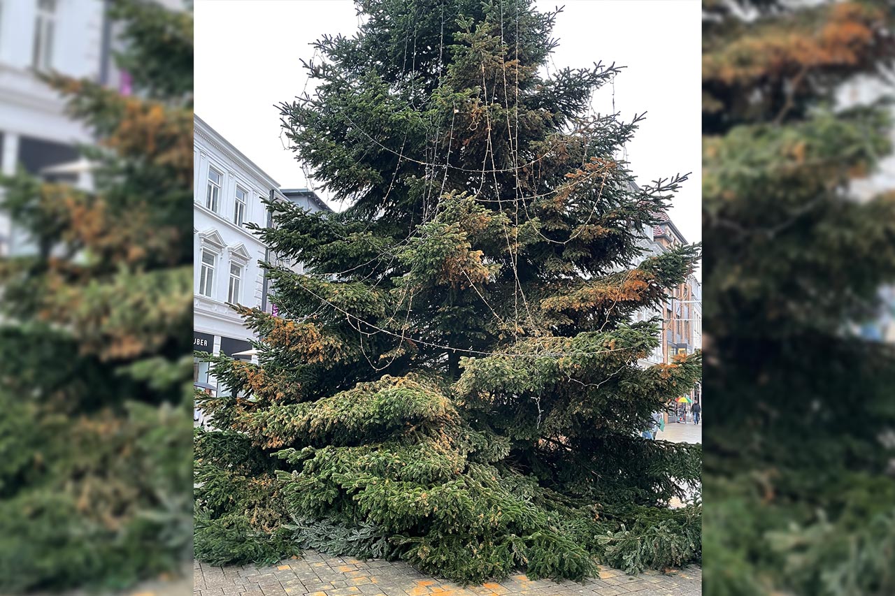 Die Weihnachtstanne am Lefferseck wurde mit orangefarbener Flüssigkeit besprüht.