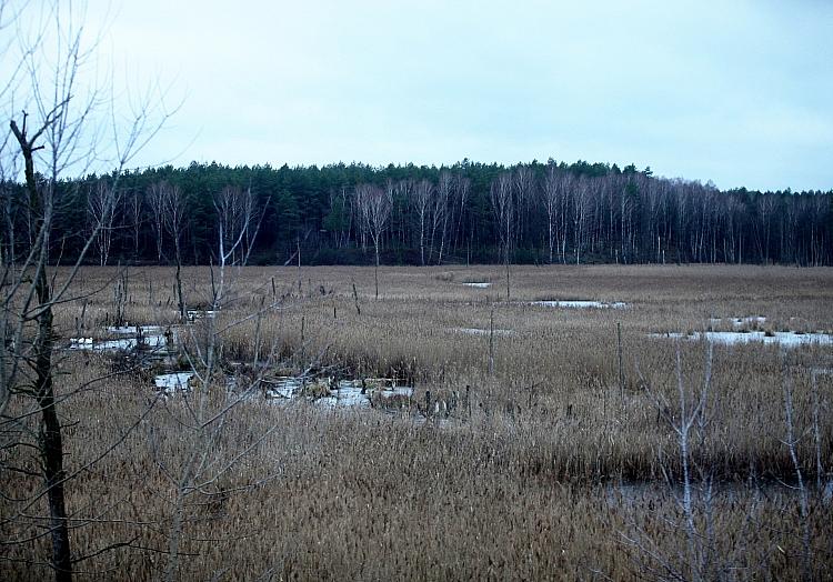 Moorlandschaft (Archiv), via dts Nachrichtenagentur