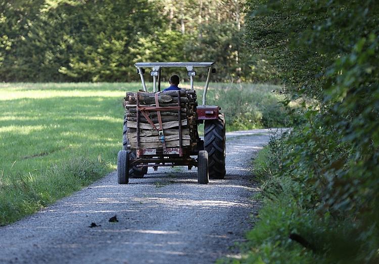 Holztransport (Archiv), via dts Nachrichtenagentur