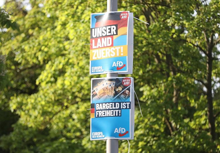 AfD-Wahlplakate zur Europawahl (Archiv), via dts Nachrichtenagentur