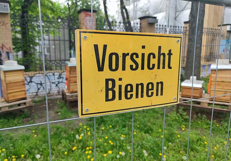 Schild mit der Aufschrift `Vorsicht Bienen` (Archiv), via dts Nachrichtenagentur