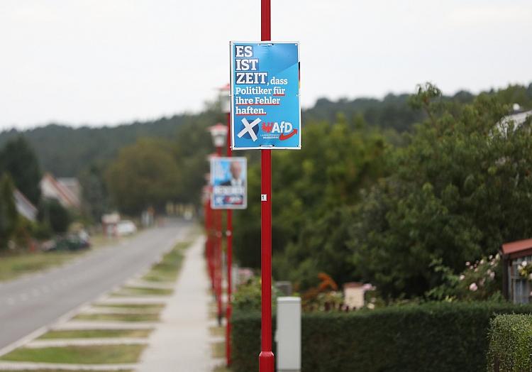 AfD-Wahlplakate zur Landtagswahl in Brandenburg (Archiv), via dts Nachrichtenagentur