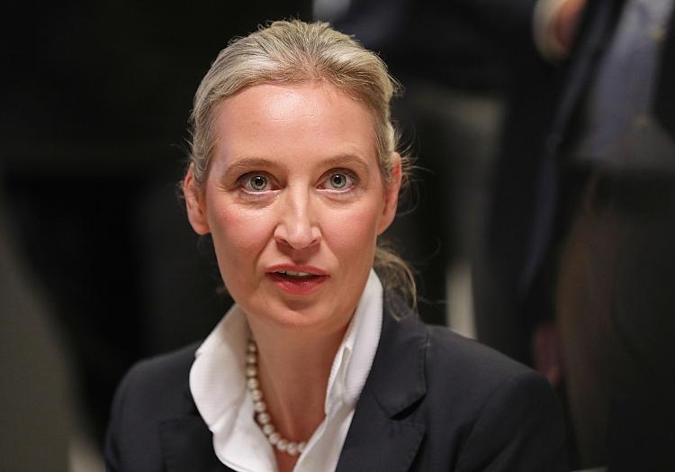 Alice Weidel (Archiv), via dts Nachrichtenagentur