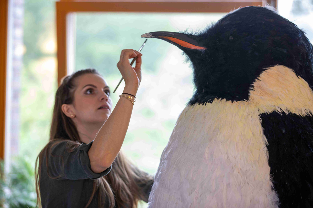 Auch der Pinguin muss in die Maske: Als Symbolfigur der Klima-Filme wird er für seinen Auftritt vorbereitet.