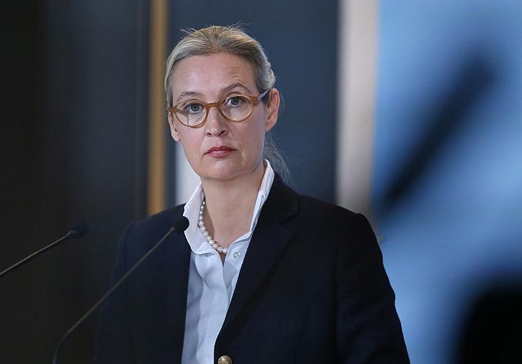 Alice Weidel (Archiv), via dts Nachrichtenagentur