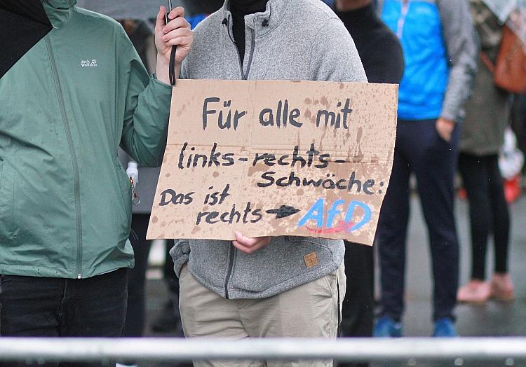 Protest gegen die AfD (Archiv), via dts Nachrichtenagentur