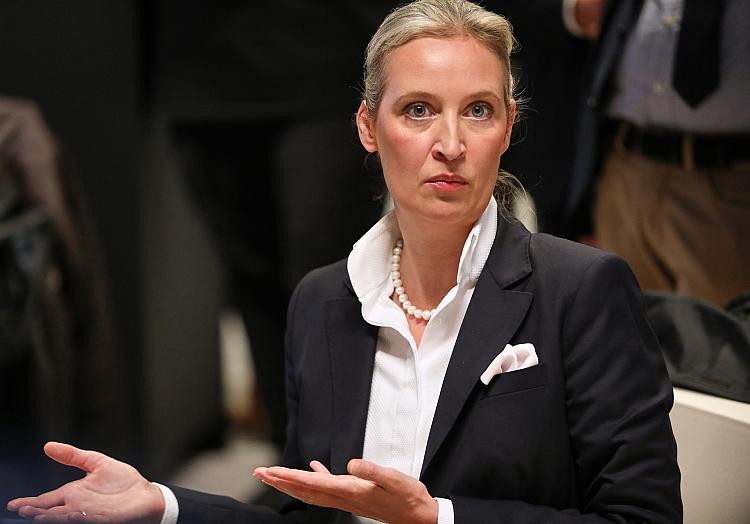 Alice Weidel (Archiv), via dts Nachrichtenagentur