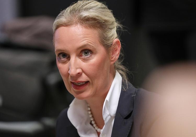 Alice Weidel (Archiv), via dts Nachrichtenagentur