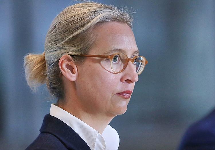 Alice Weidel (Archiv), via dts Nachrichtenagentur