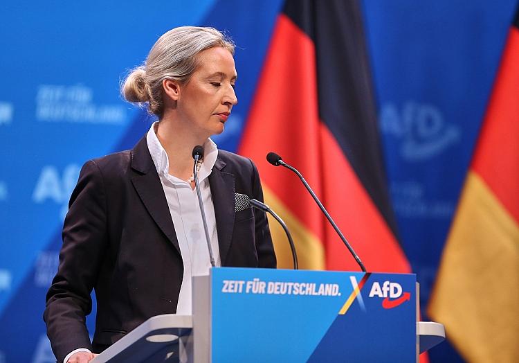 Alice Weidel am 11.01.2025, via dts Nachrichtenagentur