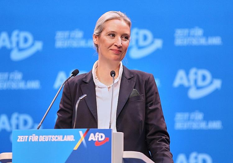 Alice Weidel am 11.01.2025, via dts Nachrichtenagentur