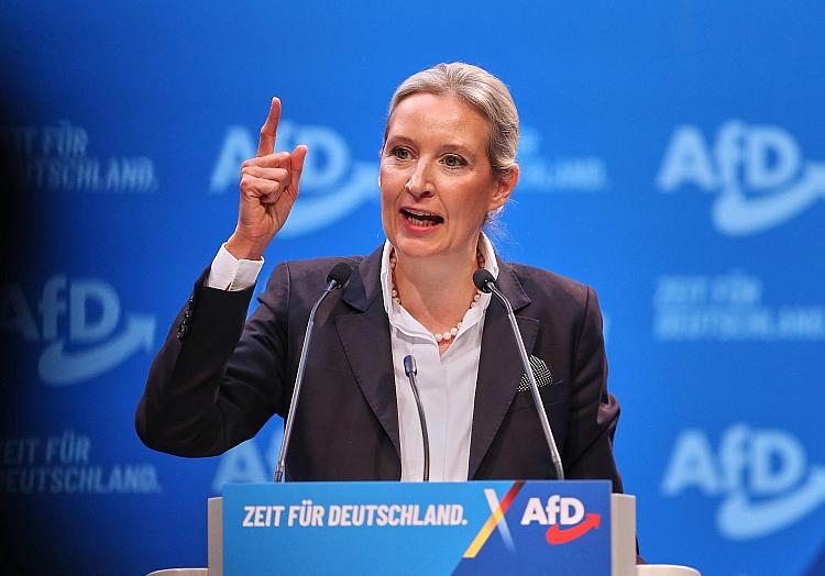 Alice Weidel (Archiv), via dts Nachrichtenagentur