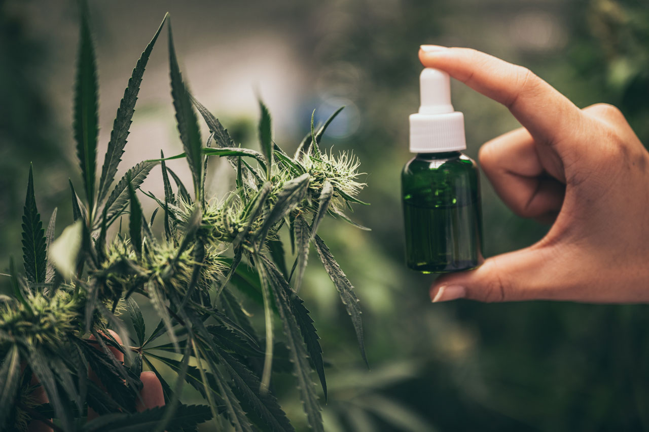 Qualitatives CBD hat in den letzten Jahren erheblich an Popularität gewonnen, insbesondere unter Menschen, die nach naturheilkundlichen Alternativen zur Unterstützung ihres Wohlbefindens suchen.