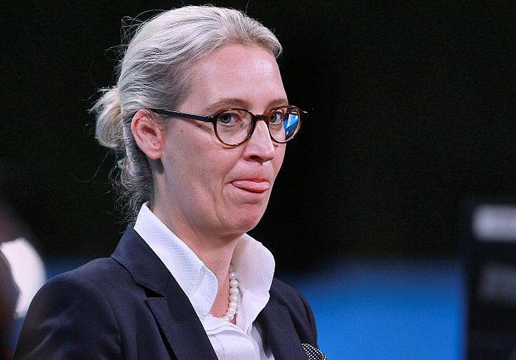 Alice Weidel (Archiv), via dts Nachrichtenagentur