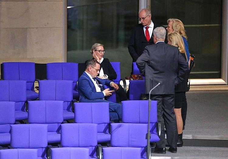 AfD-Abgeordnete im Bundestag am 31.01.2025, via dts Nachrichtenagentur