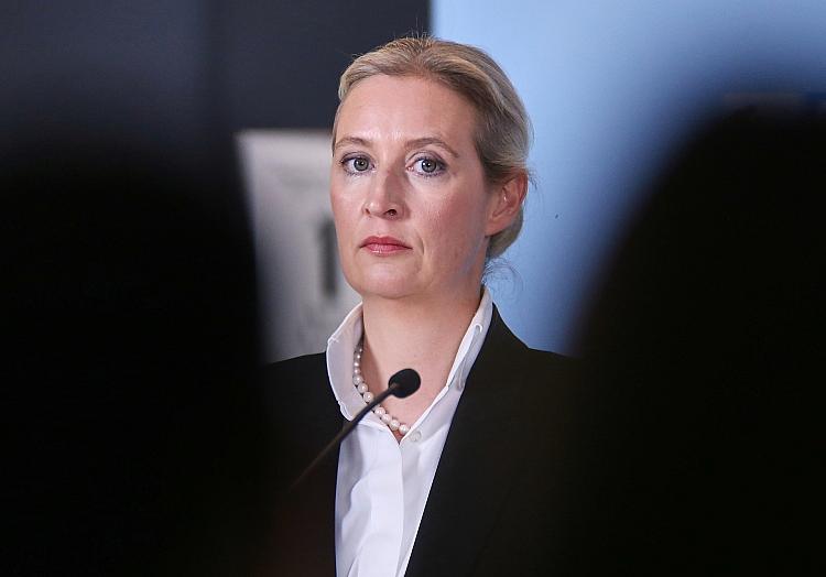 Alice Weidel (Archiv), via dts Nachrichtenagentur